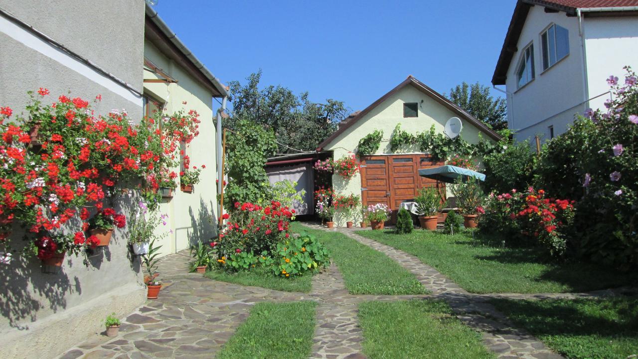 Garden City Apartment Cluj-Napoca Buitenkant foto